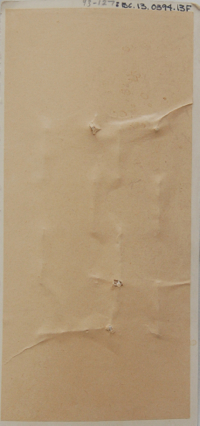 bead sample card